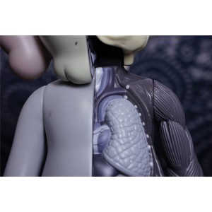 Kaws Companion Figure Doll 2 Sizes Grey Stand